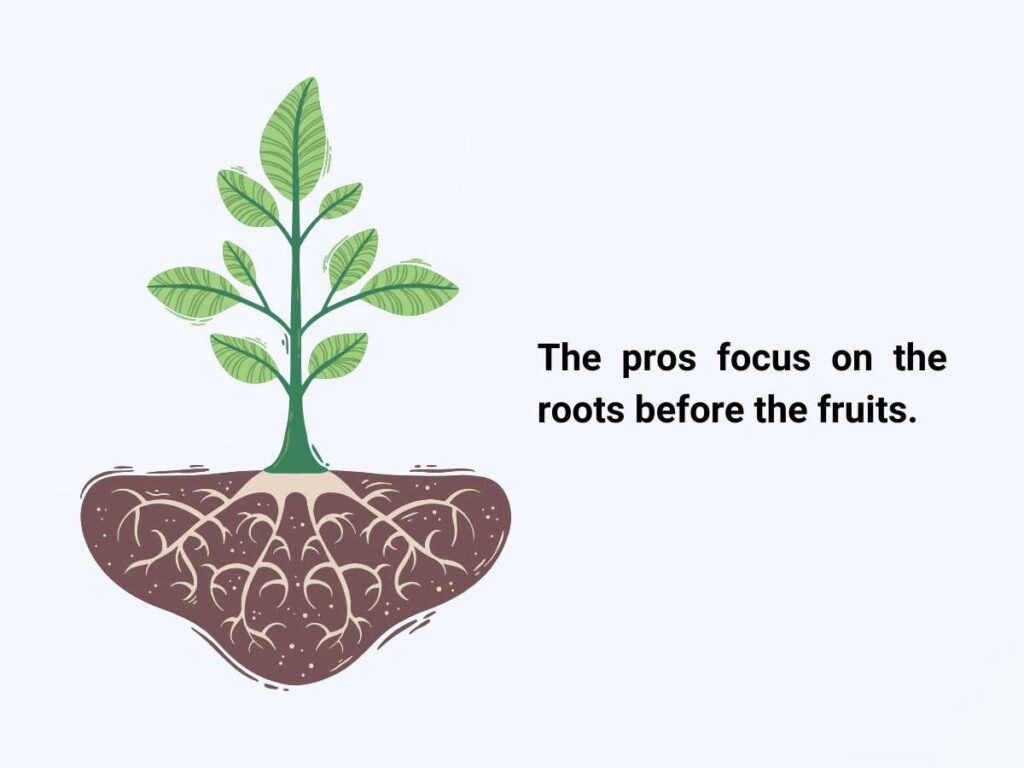 image-of-a-plant-with-roots-and-message-saying-the-pros-focus-on-the-roots-before-the-fruits